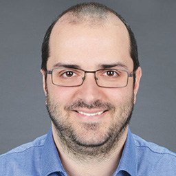 Sergiu Pocan